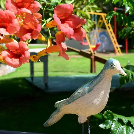 Apartament Simatos αpartments & Argostoli (Kefalonia)