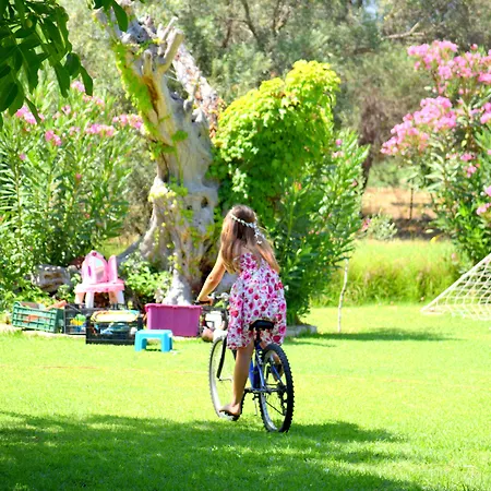 Simatos αpartments & *