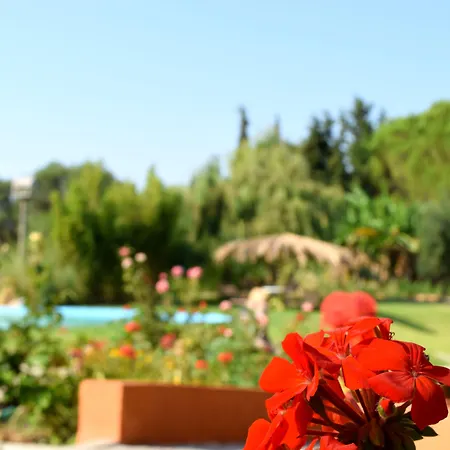 Simatos αpartments & 阿尔戈斯托利翁