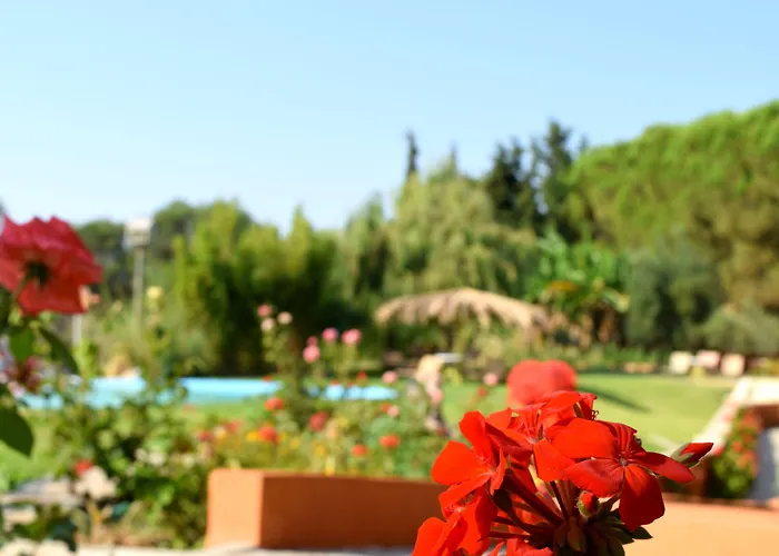 Simatos αpartments & Argostoli (Kefalonia)